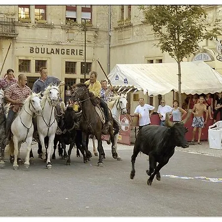 度假居 La Petite Jasse Camarguaise