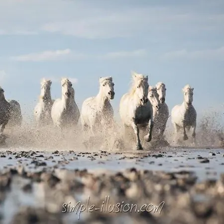 度假居 La Petite Jasse Camarguaise *